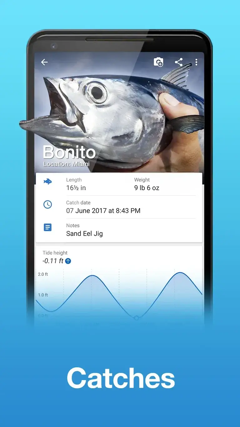 Captura de pantalla de Fishing Points 5