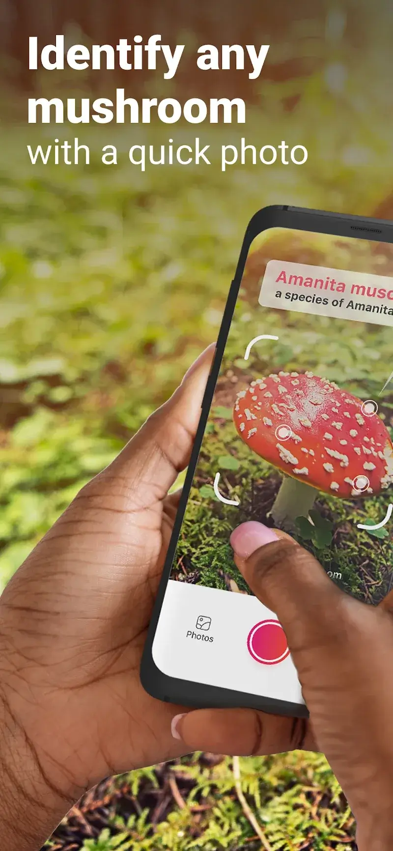 Picture Mushroom v2.10.0 APK + ภาพหน้าจอ 1
