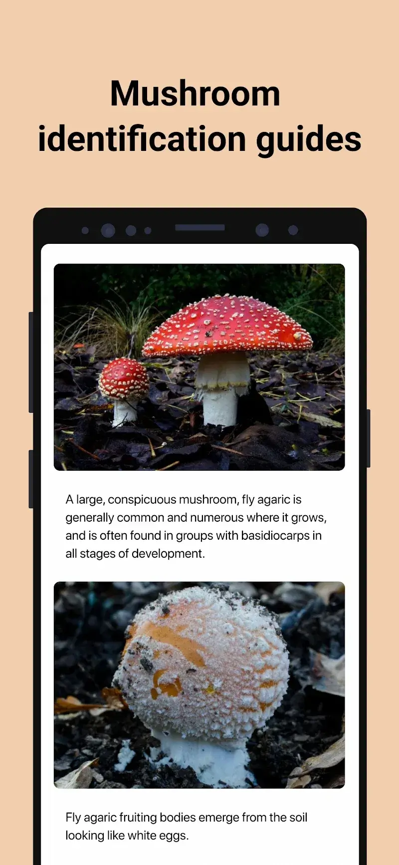 Picture Mushroom v2.10.0 APK + ภาพหน้าจอ 4