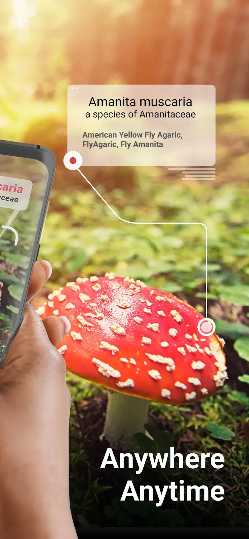 Picture Mushroom v2.10.0 APK + ภาพหน้าจอ 2