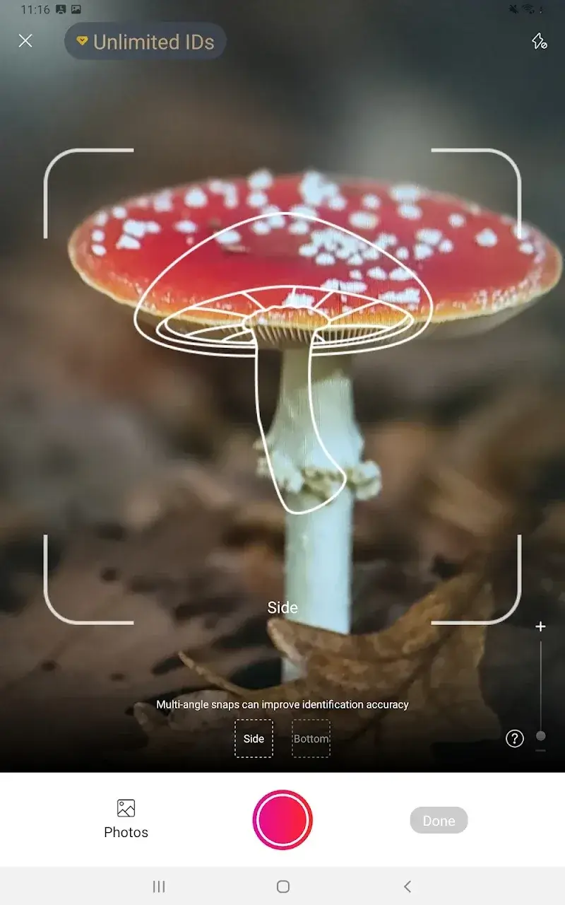 Picture Mushroom v2.10.0 APK + ภาพหน้าจอ 6