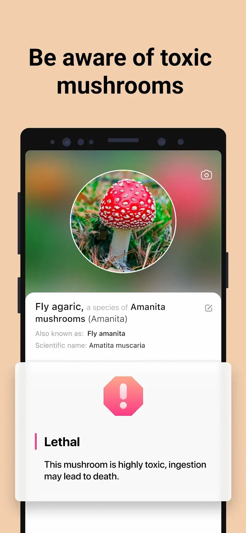 Picture Mushroom v2.10.0 APK + ภาพหน้าจอ 3