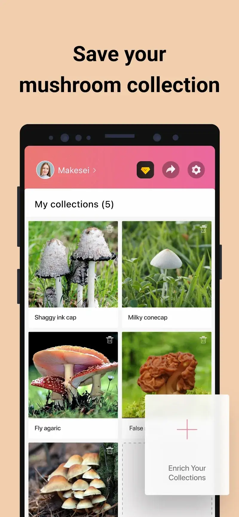 Picture Mushroom v2.10.0 APK + ภาพหน้าจอ 5