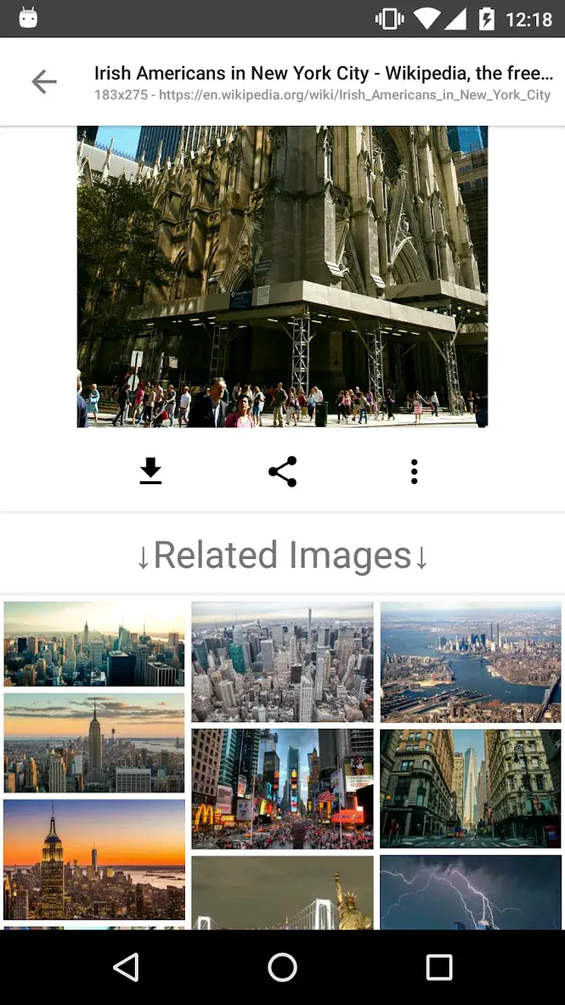 ImageSearchMan capture d'écran 5