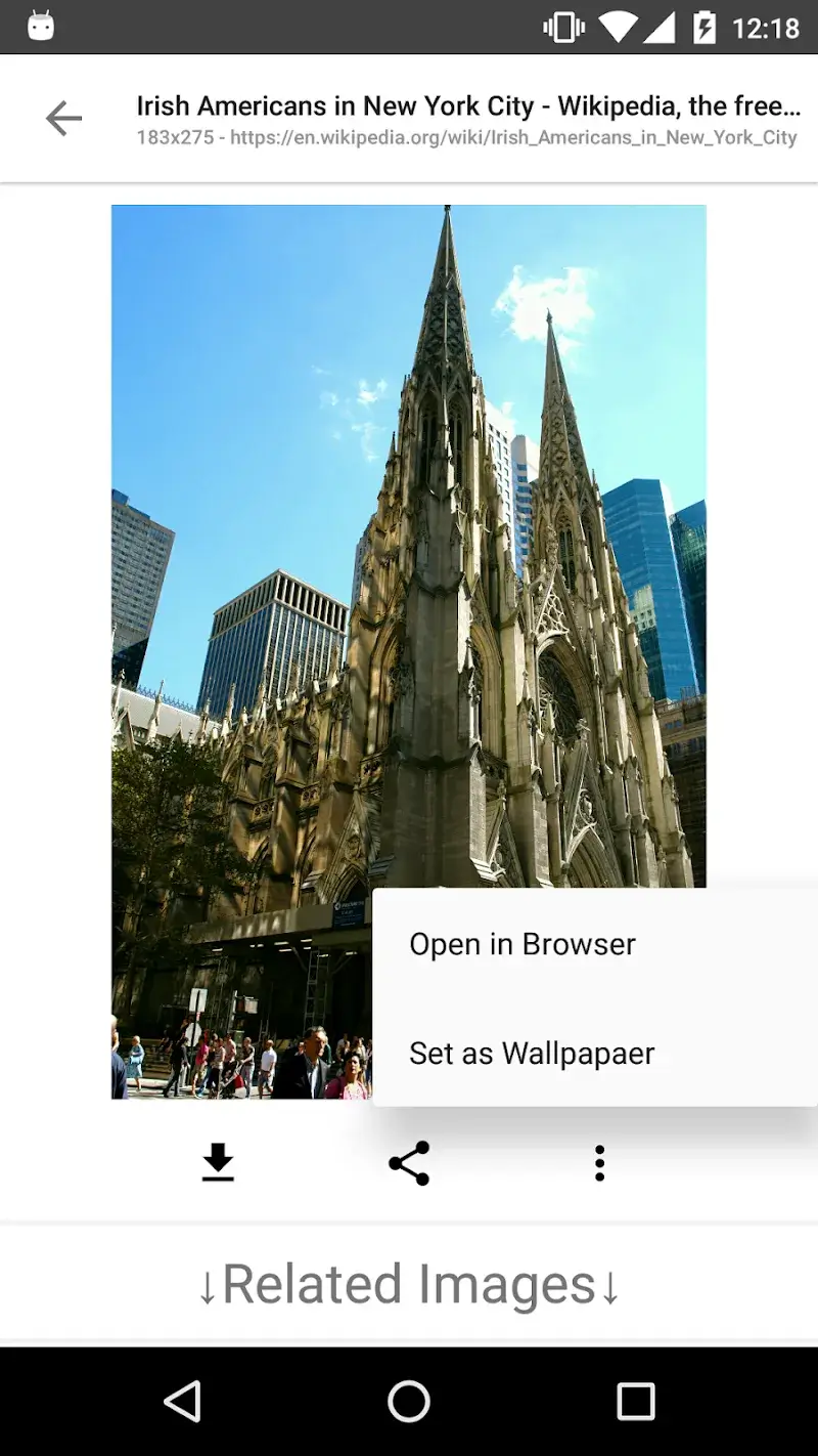 ImageSearchMan capture d'écran 4