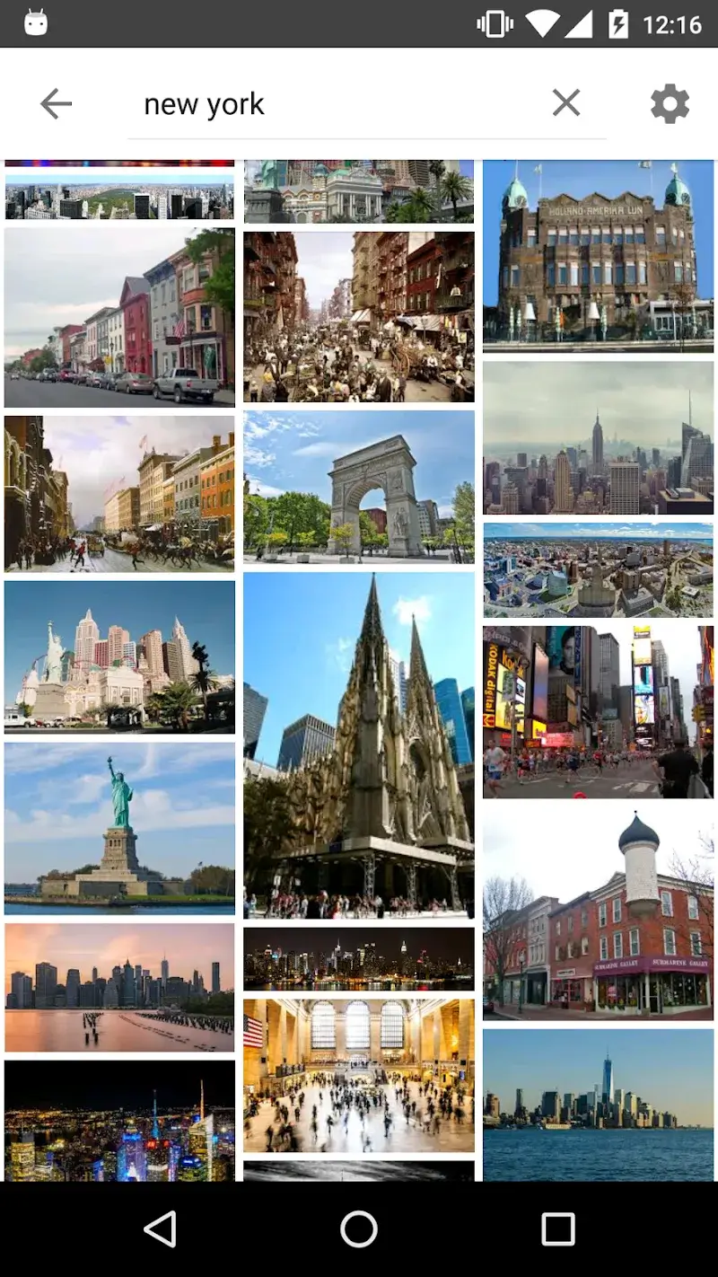 ImageSearchMan capture d'écran 2