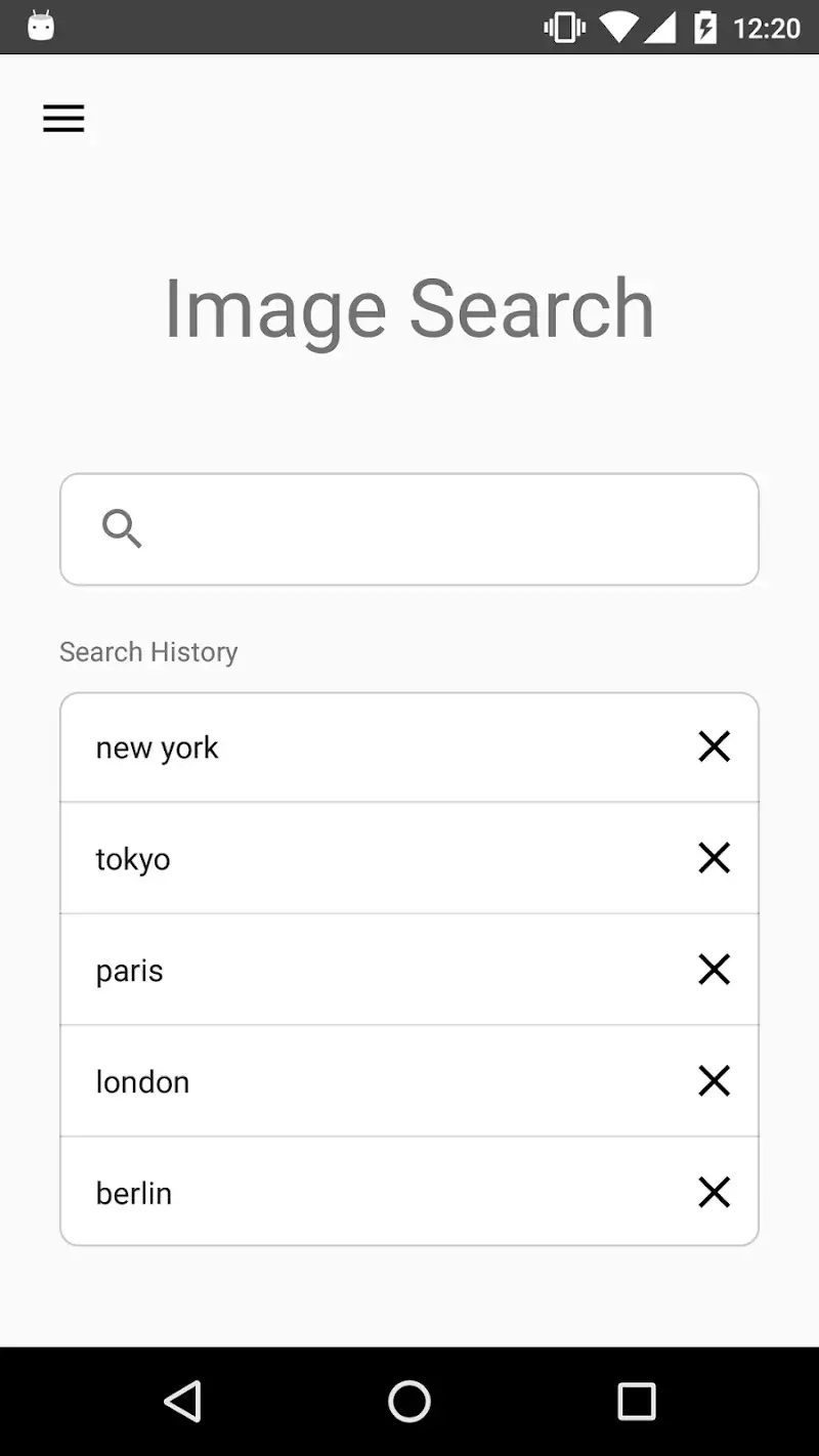 ImageSearchMan capture d'écran 1