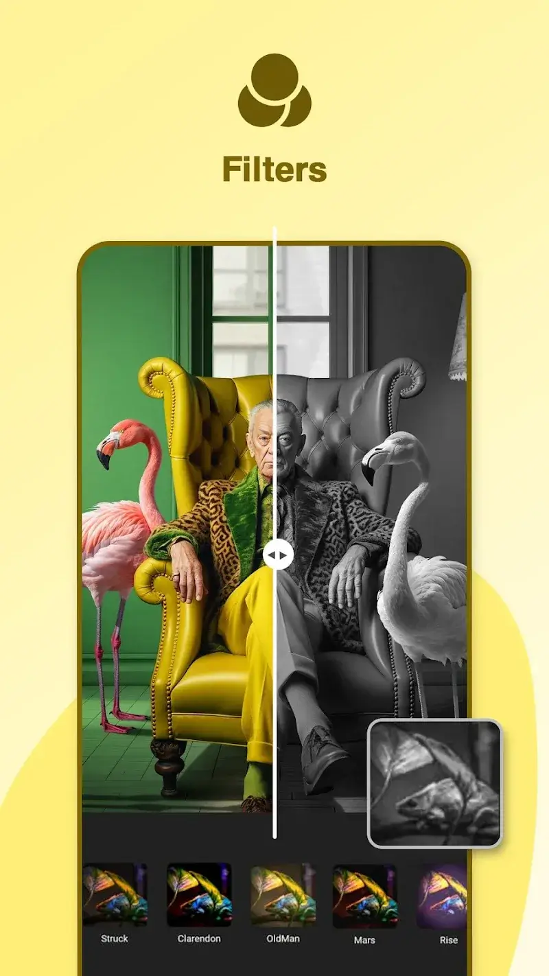 Gallery Photo Editor preview 2