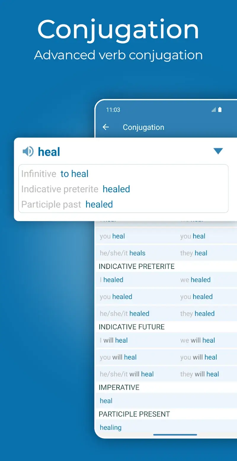 Reverso Translate and Learn v16.5.0 MOD APK - Screenshot 5