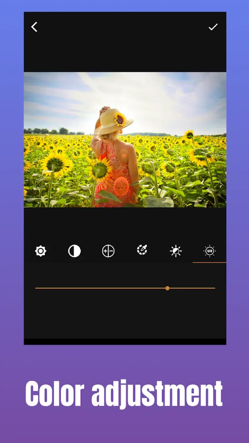 ภาพหน้าจอ GIF Maker Video 4
