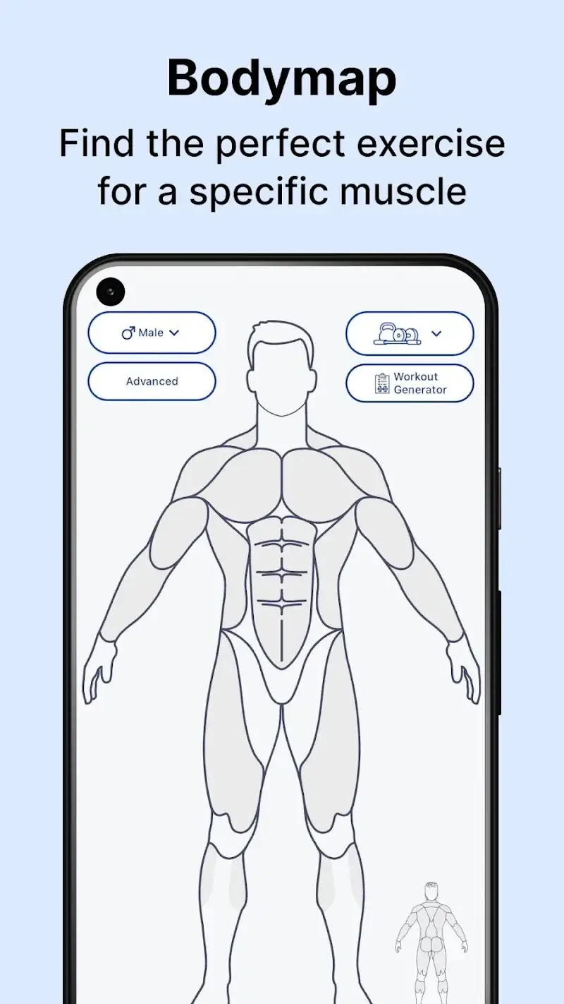 Cuplikan Layar MuscleWiki 1