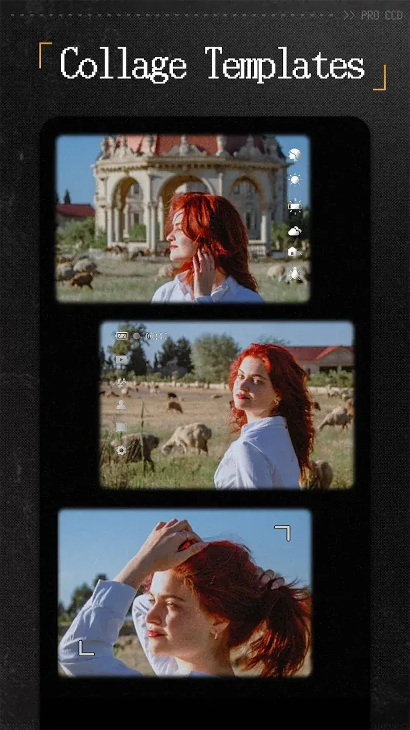 Capture d'écran ProCCD 6