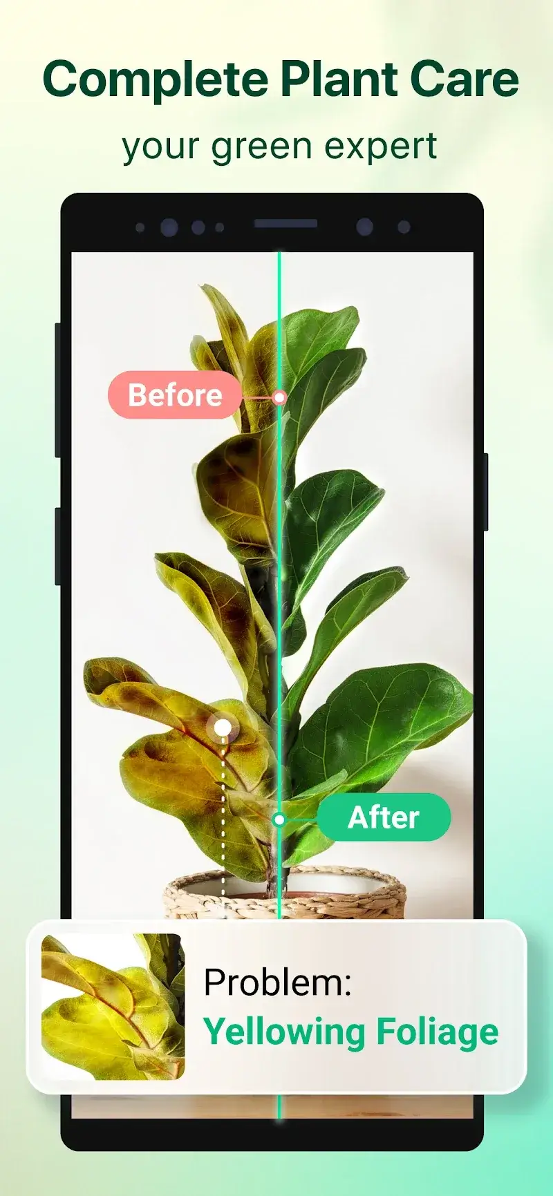 Ảnh chụp màn hình Plant Parent 2
