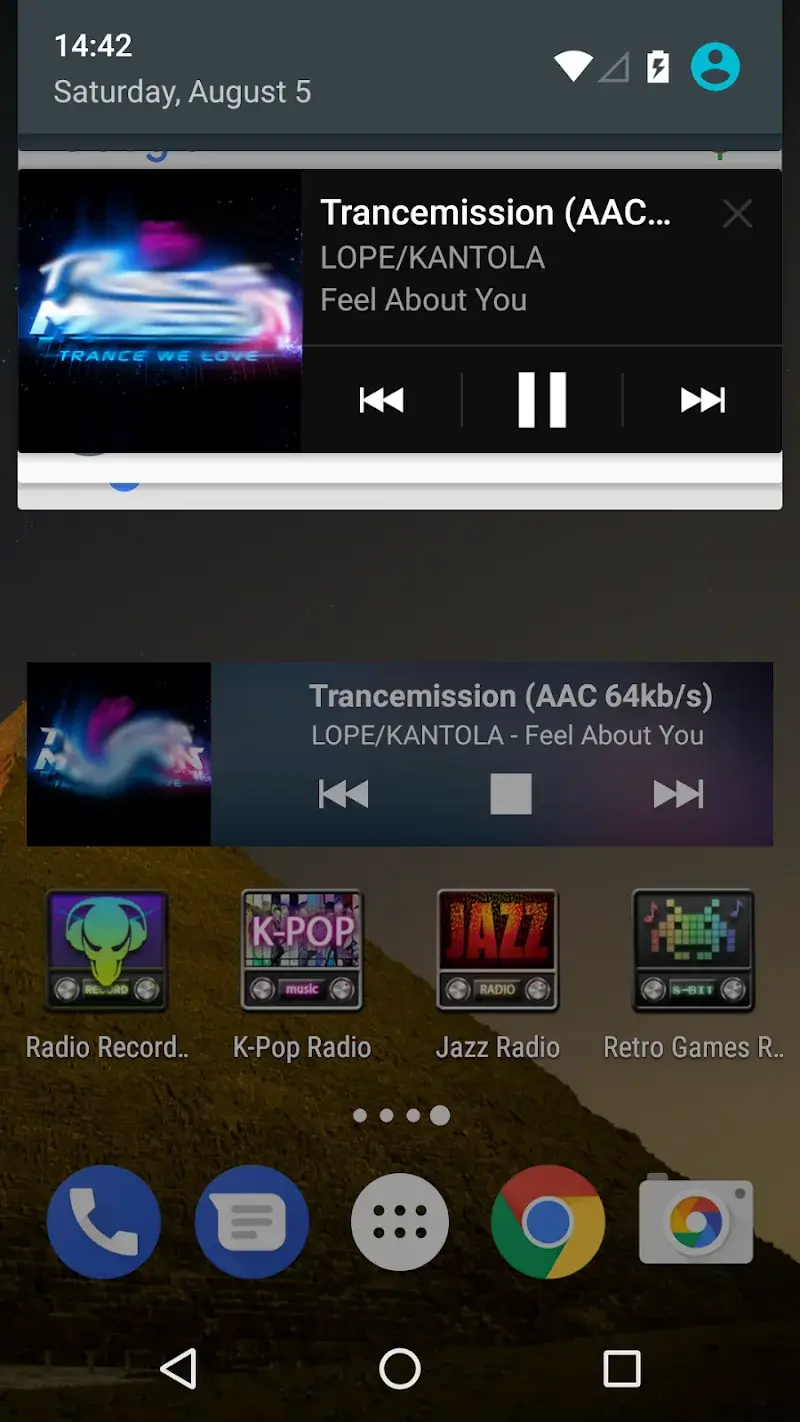 Record DFM Screenshot 6