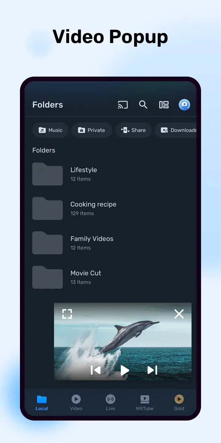 MX Player Pro screenshot 3