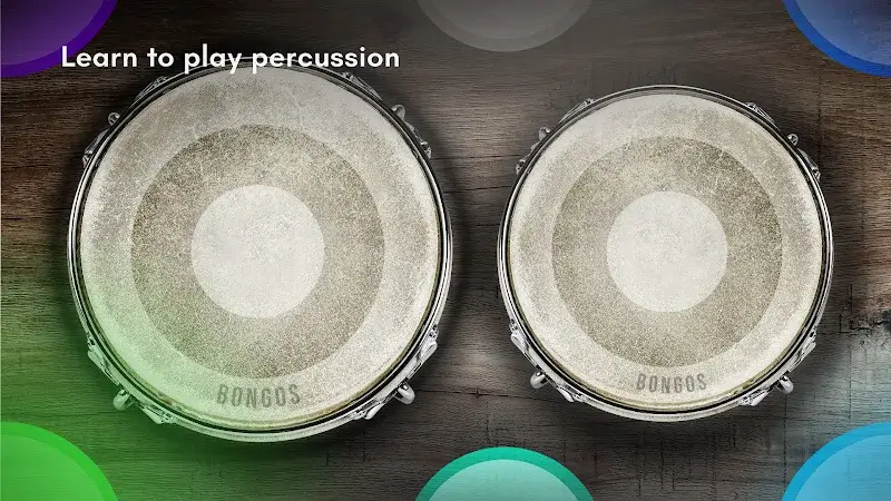 Congas & Bongos screenshot 2