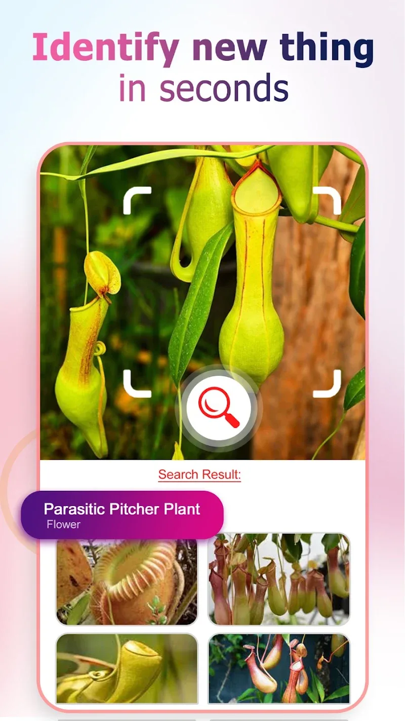 Captura de pantalla 1 de Reverse Image Search Finder
