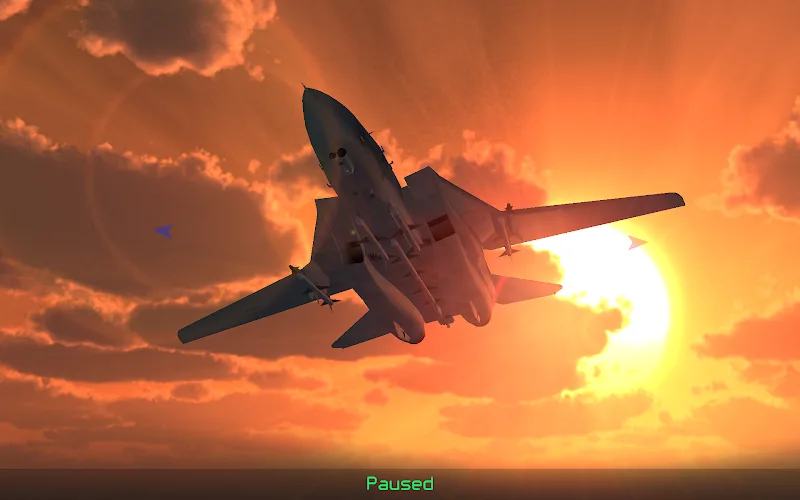 Capture d'écran Strike Fighters 5