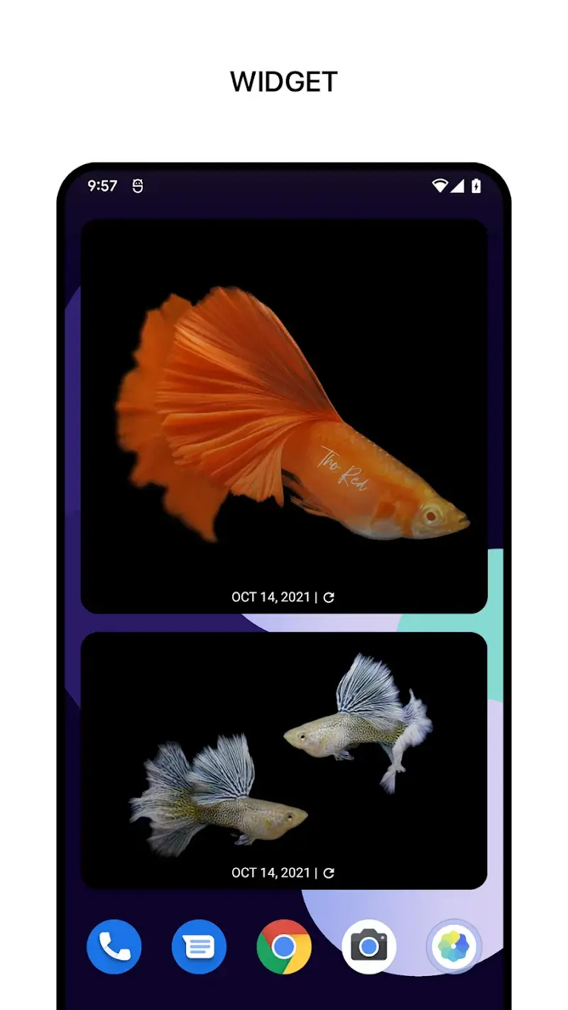1Gallery скриншот 6