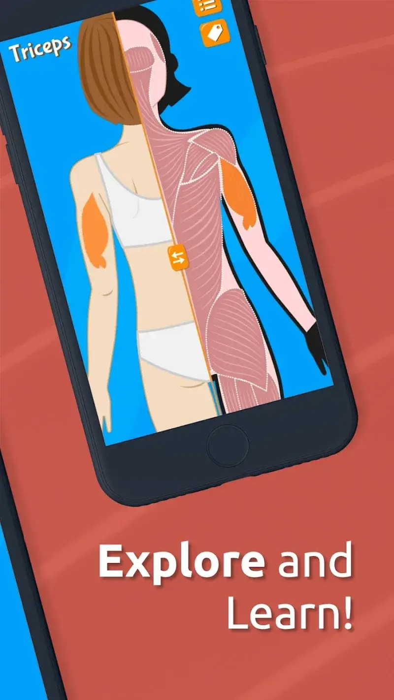 Human Anatomy - Body parts Captura de pantalla 6