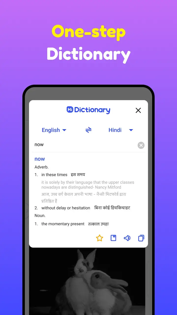 Hi Dictionary screenshot 5