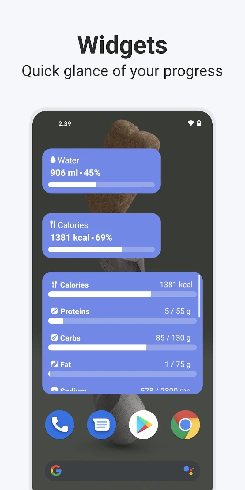 Image d'aperçu de l'application Calory 6