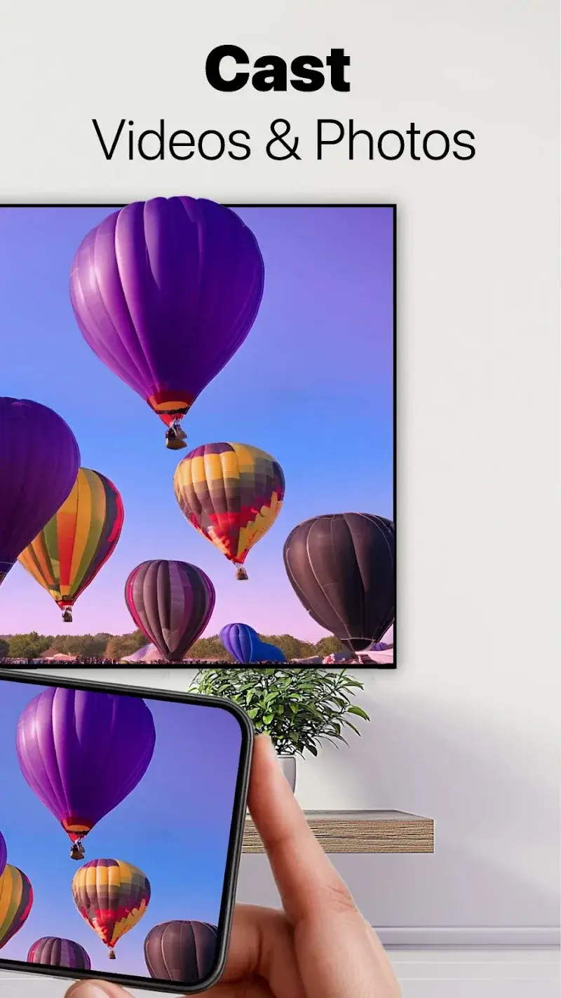 1001 TVs screenshot 2