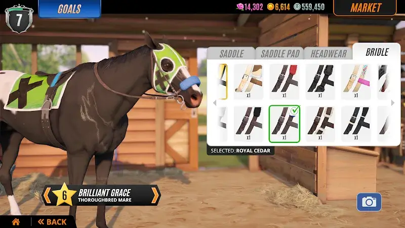 Rival Stars Horse Racing capture d'écran 6