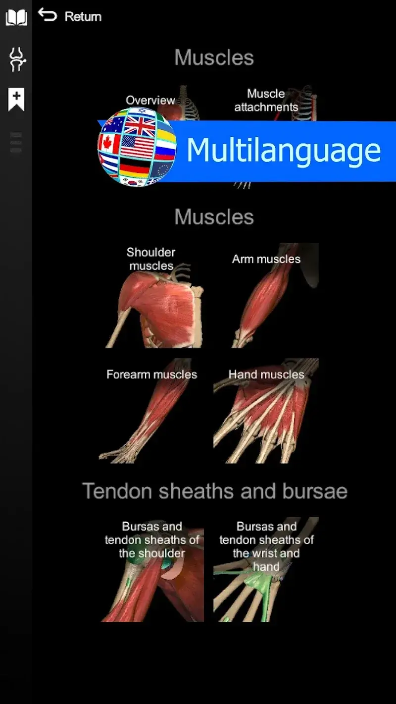 Capture d'écran 6 Anatomy Learning - 3D Anatomy