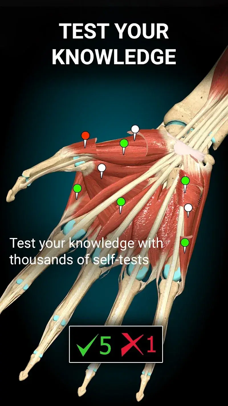 Capture d'écran 5 Anatomy Learning - 3D Anatomy