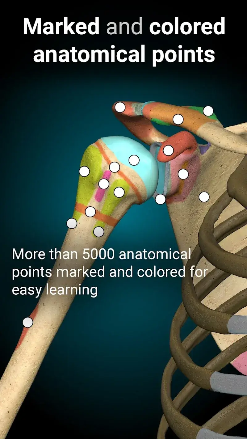 Capture d'écran 3 Anatomy Learning - 3D Anatomy