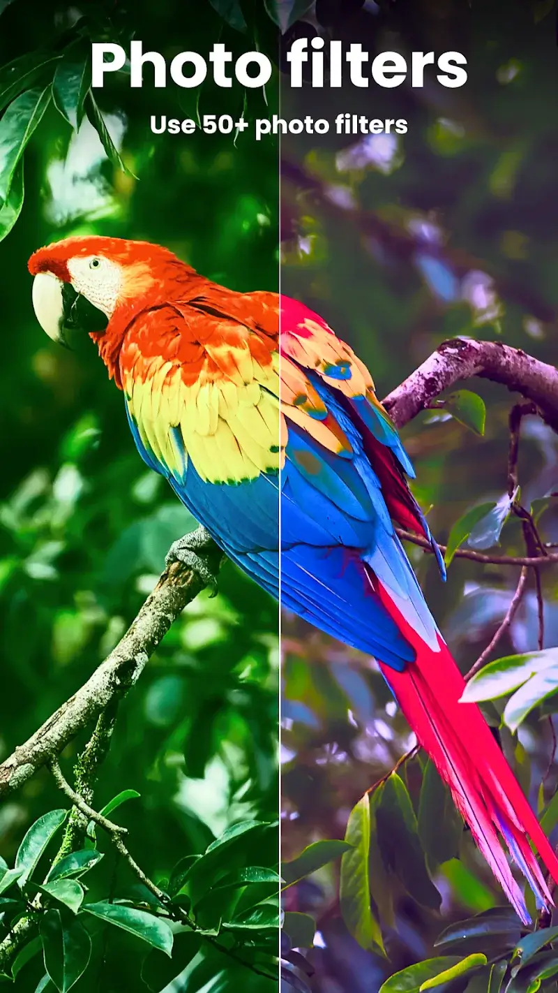 Enhance It v4.2.3 APK + captura de tela 5