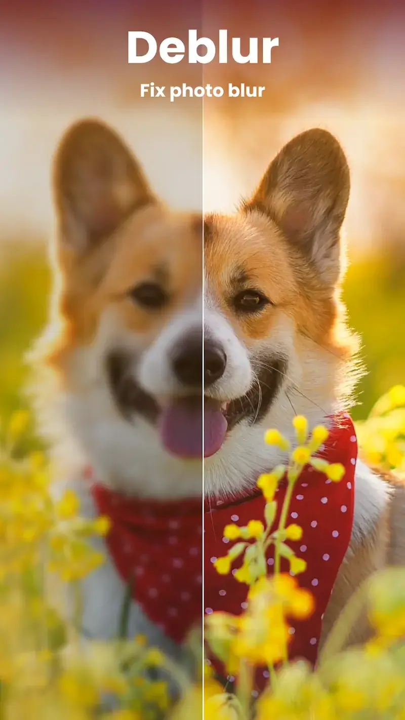 Enhance It v4.2.3 APK + captura de tela 2