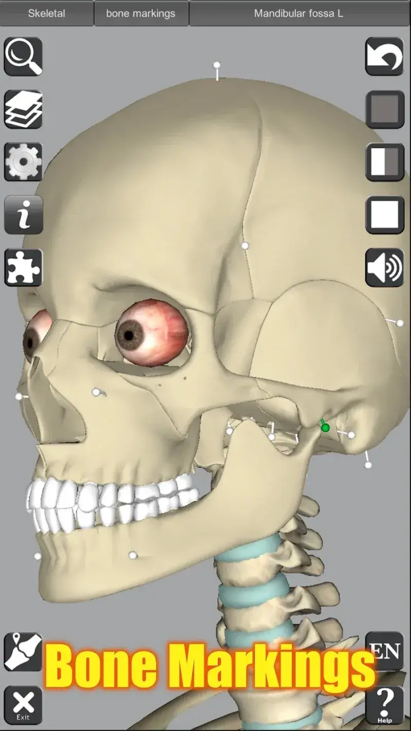 3D Anatomy captura de tela 5