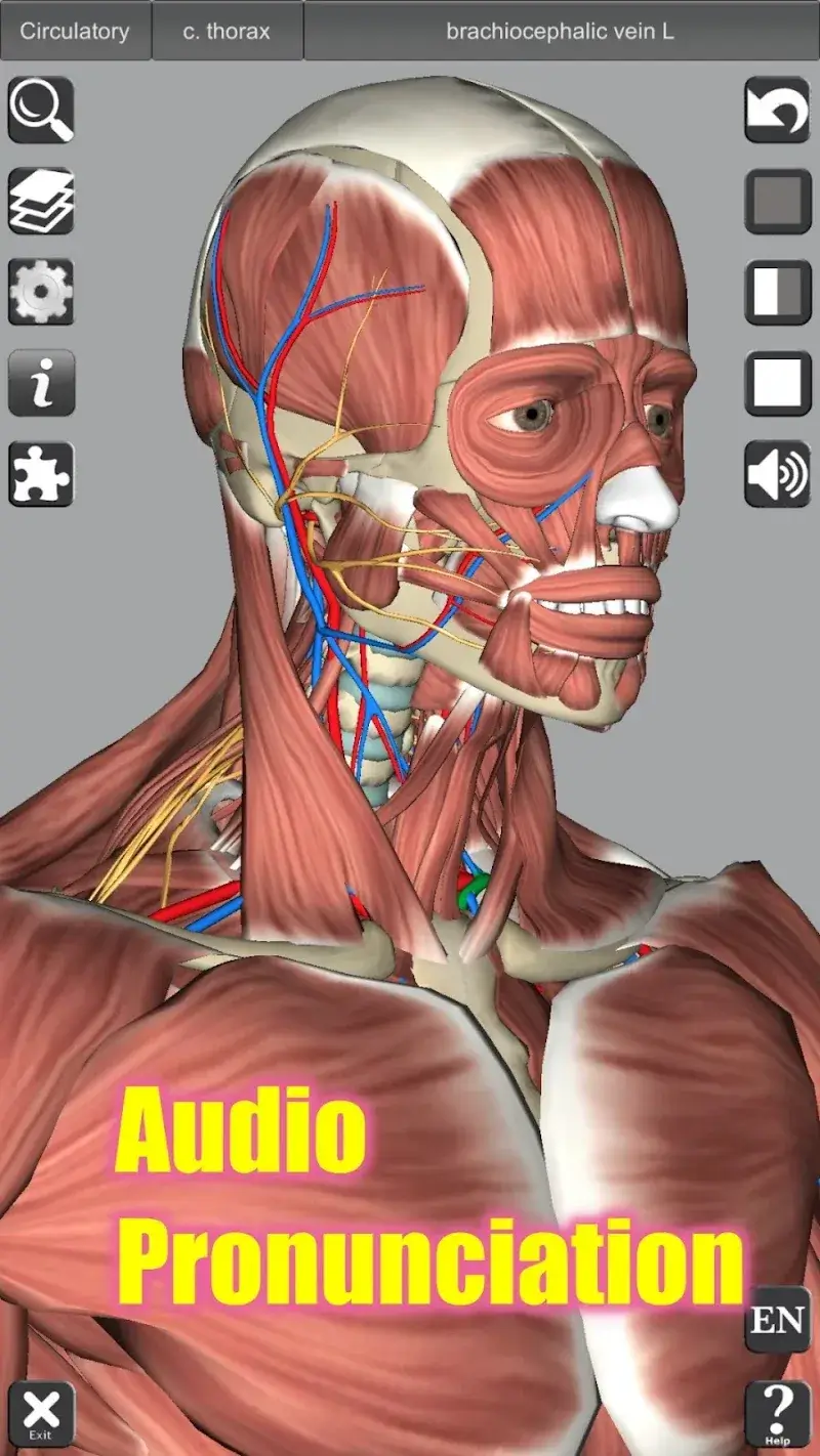3D Anatomy captura de tela 3