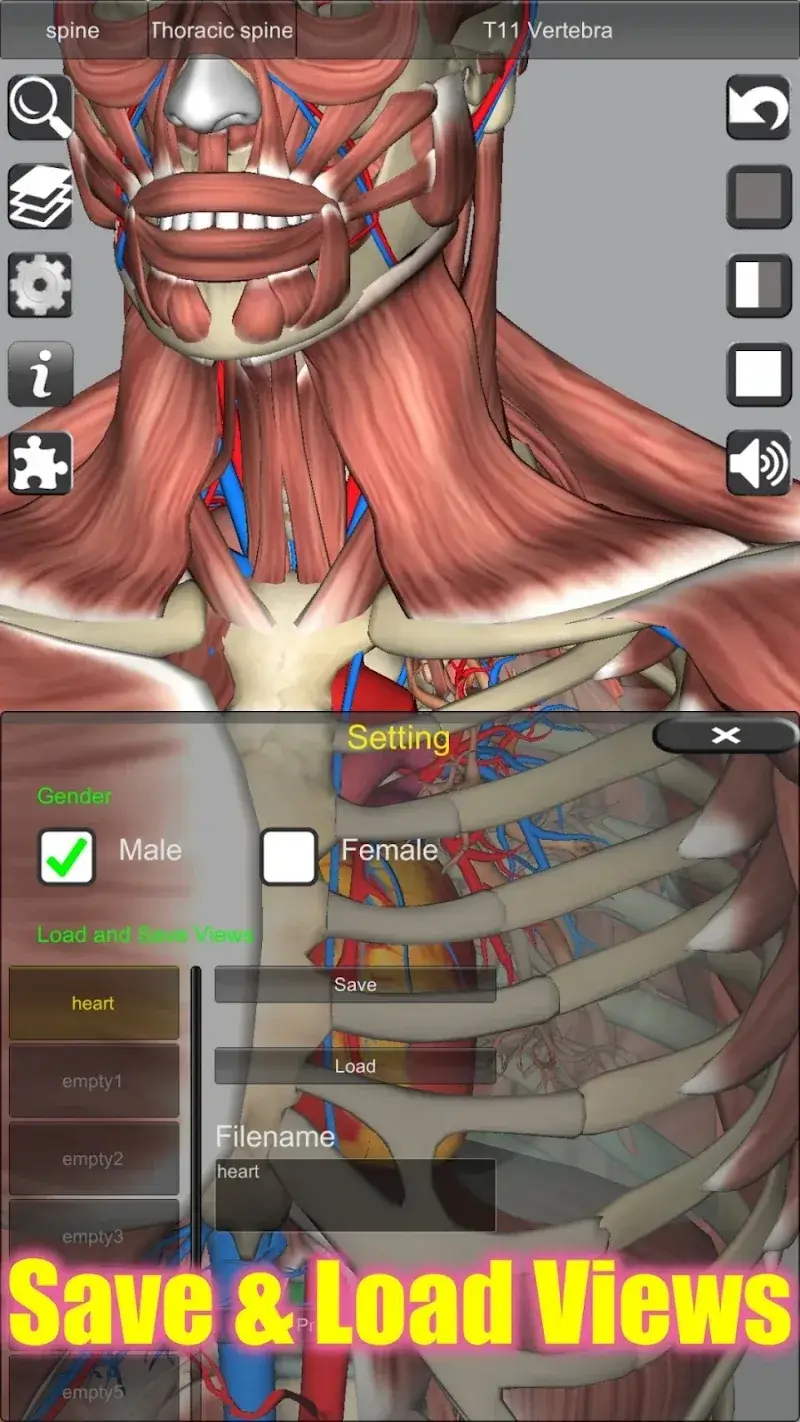 3D Anatomy captura de tela 4