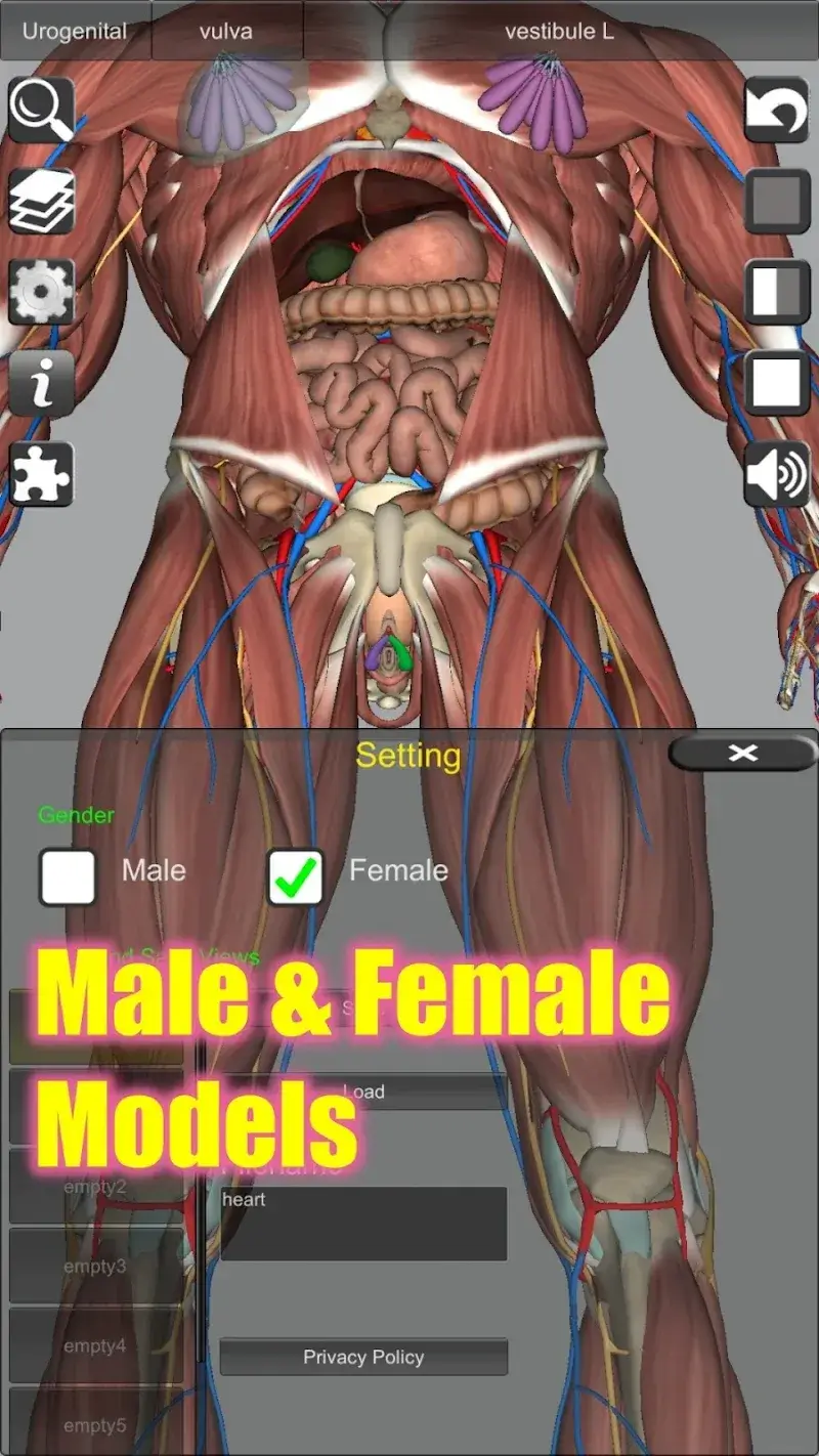 3D Anatomy captura de tela 6