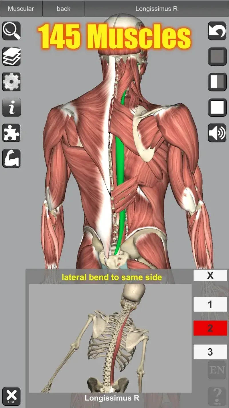 3D Anatomy captura de tela 2