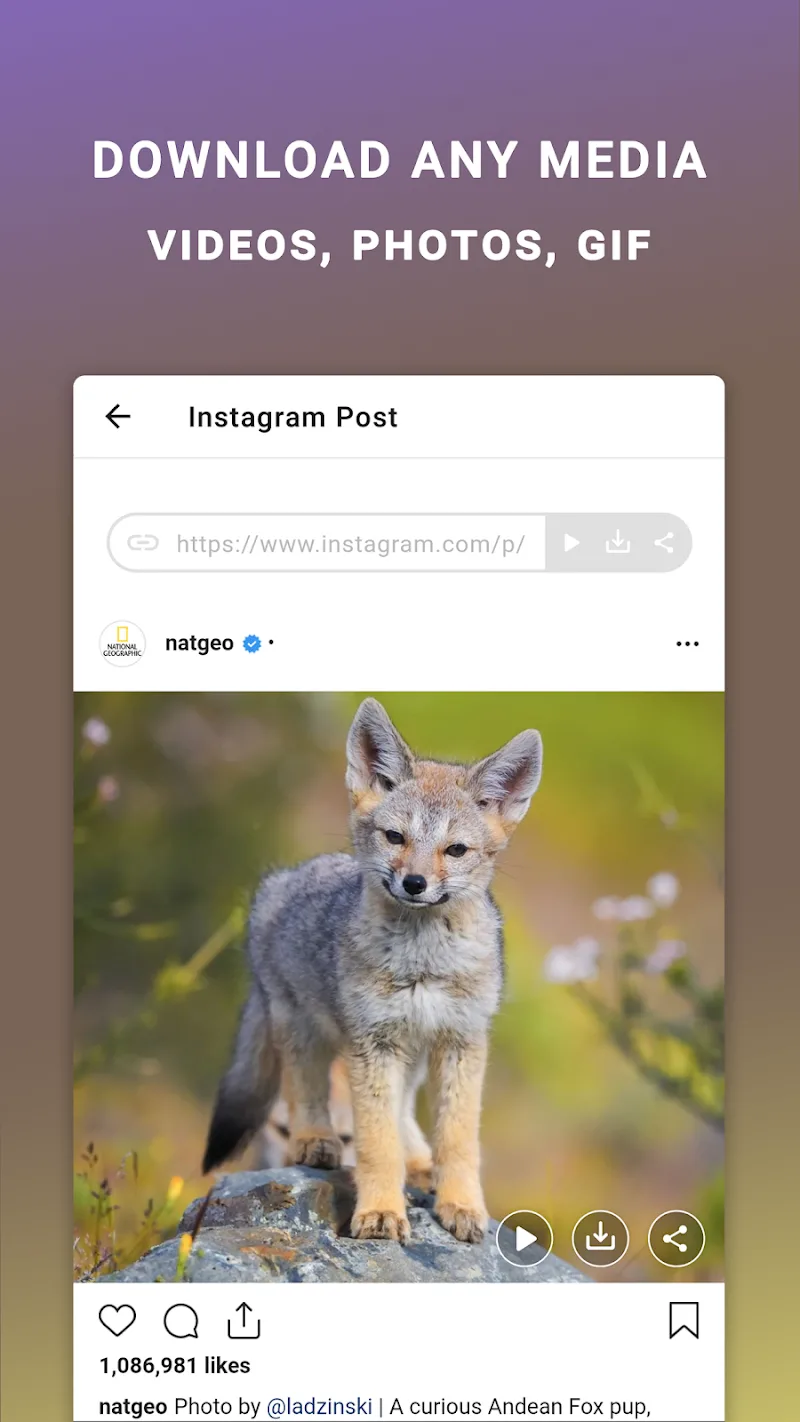 Captura de pantalla 2 de Friendly For Instagram
