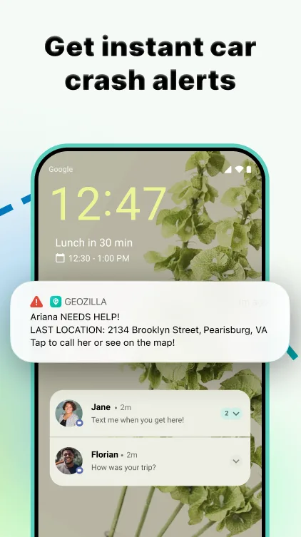 GeoZilla screenshot 3