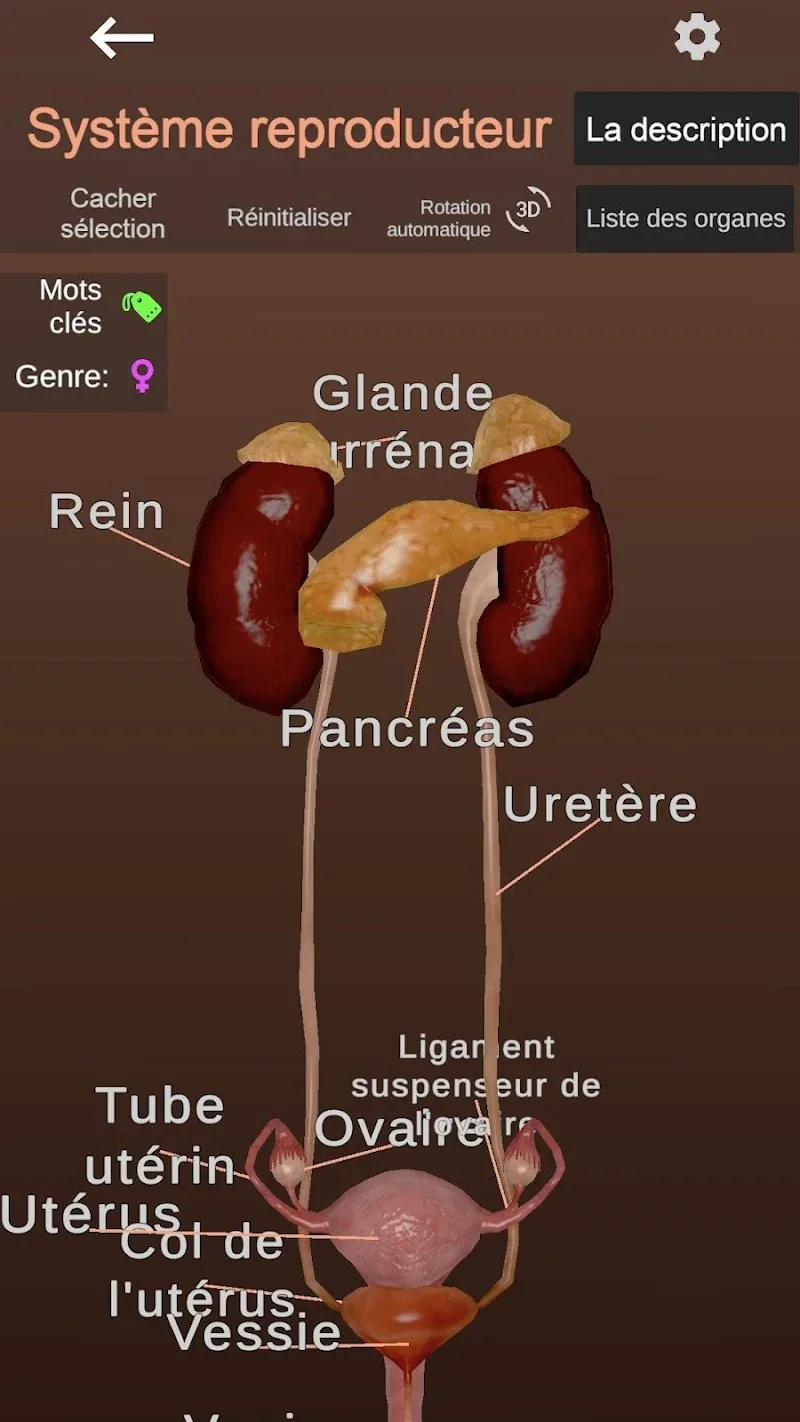 Captura de pantalla de Anatomy 6