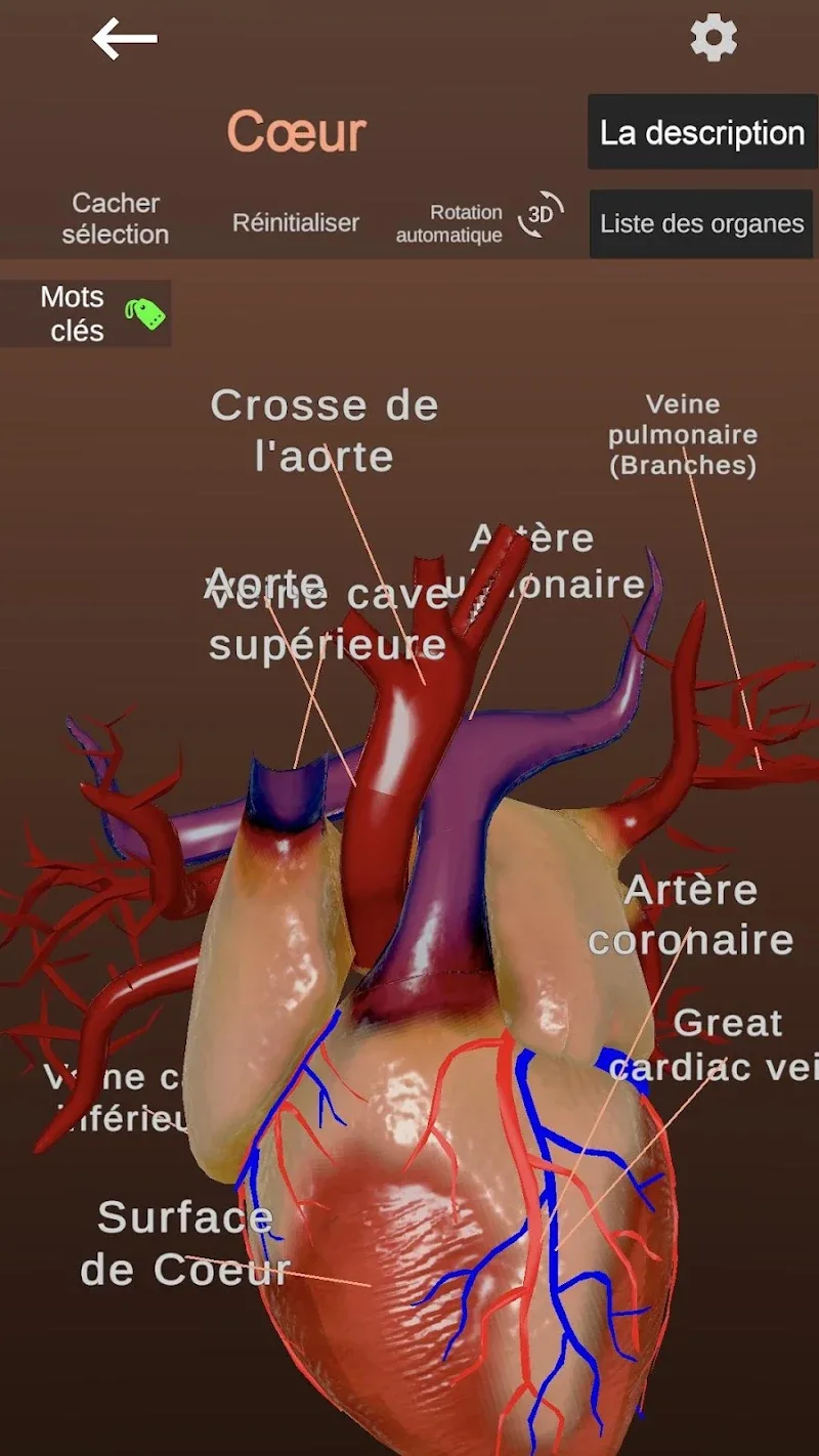 Captura de pantalla de Anatomy 5