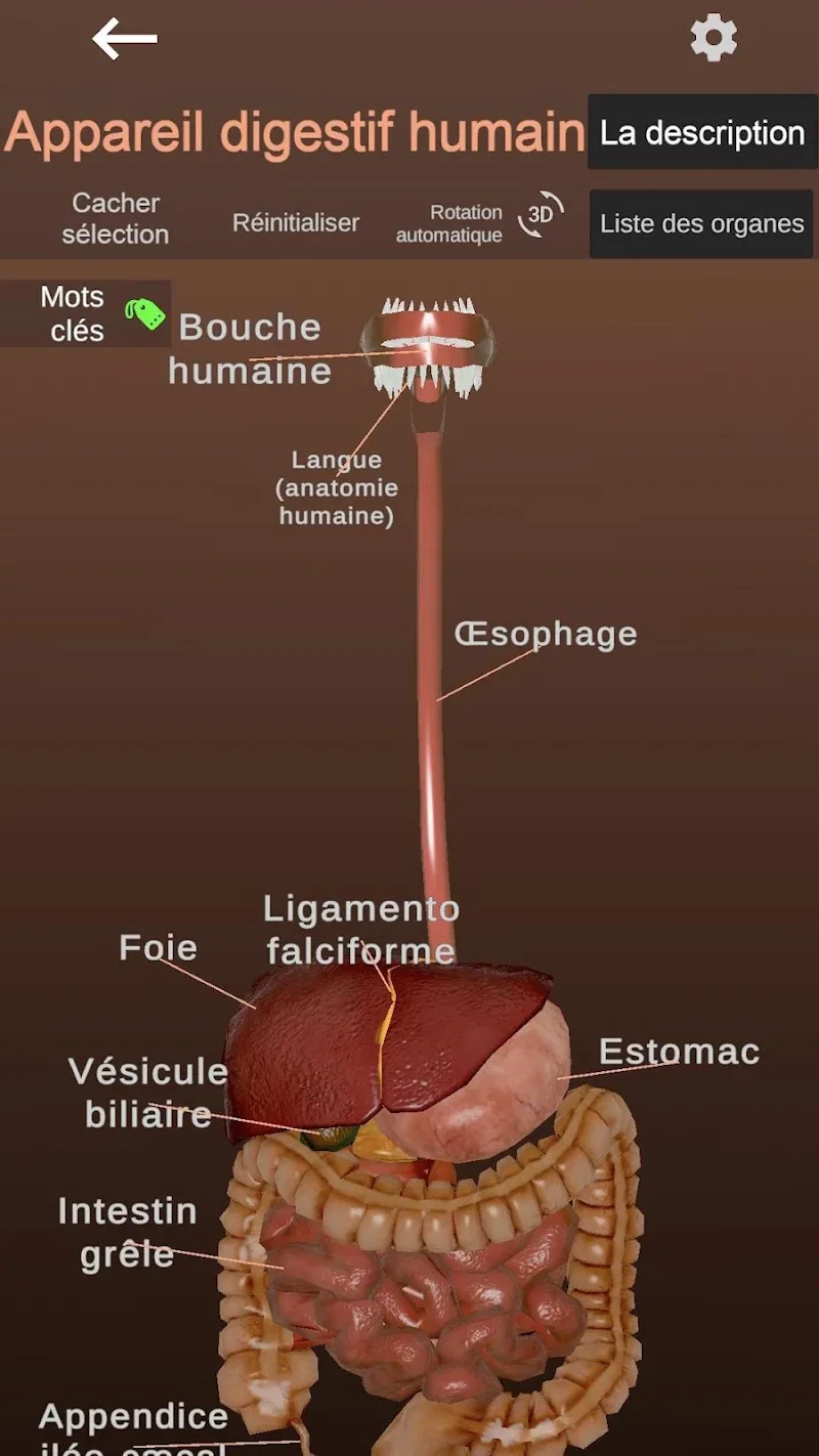 Captura de pantalla de Anatomy 2