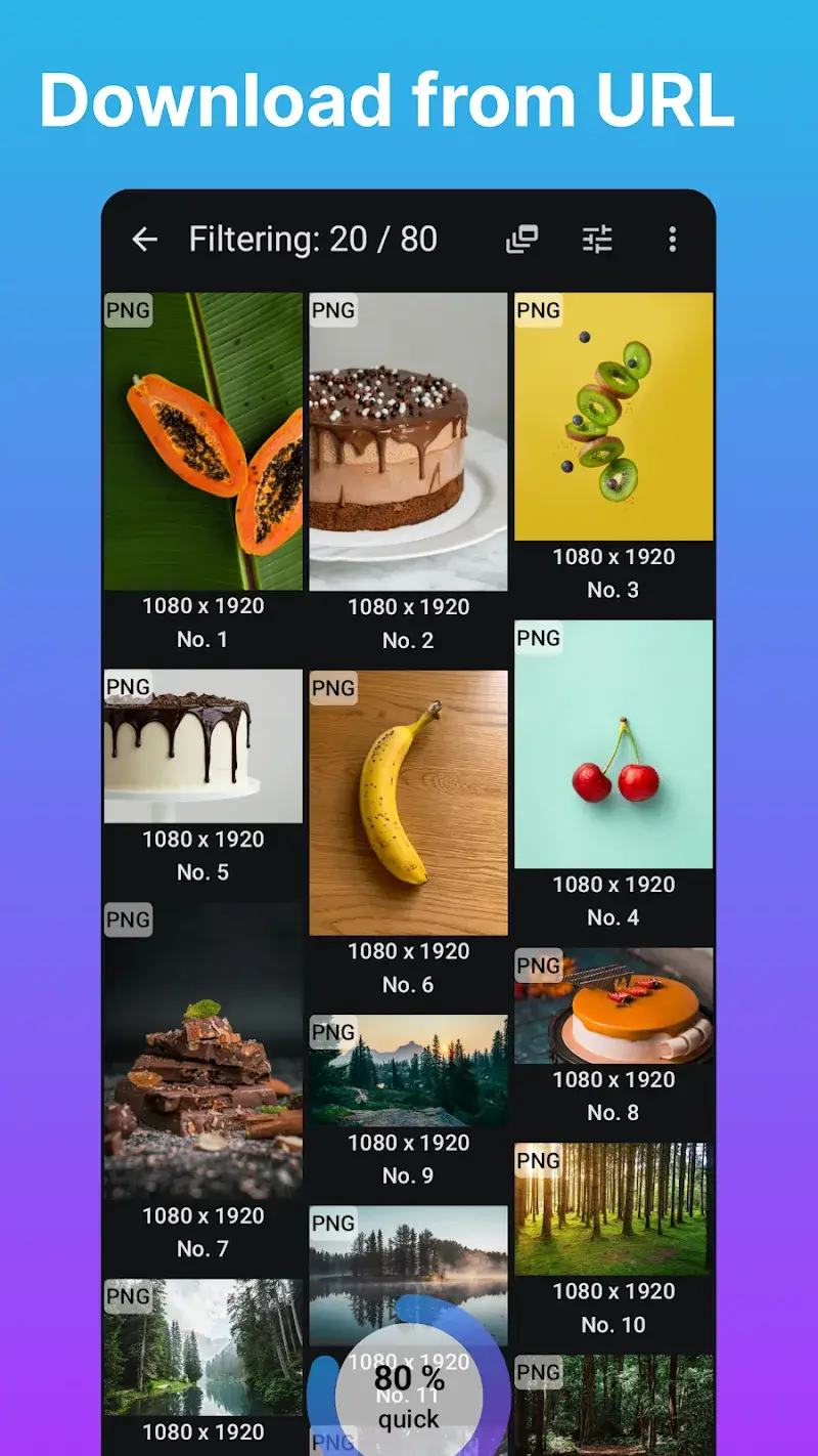 WEB Image Downloader screenshot 3