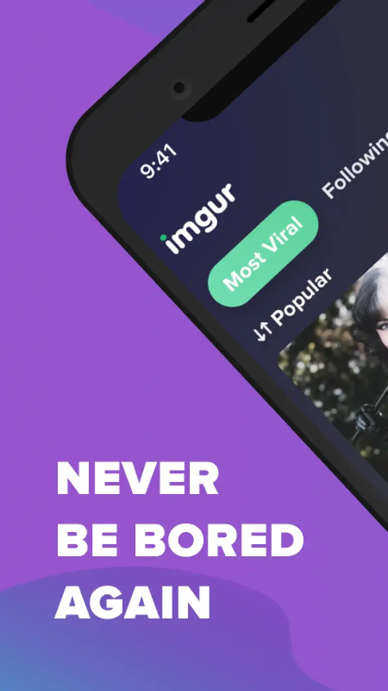 Imgur capture d'écran 1