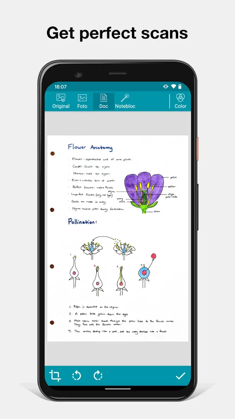 Notebloc Scanner screenshot 4