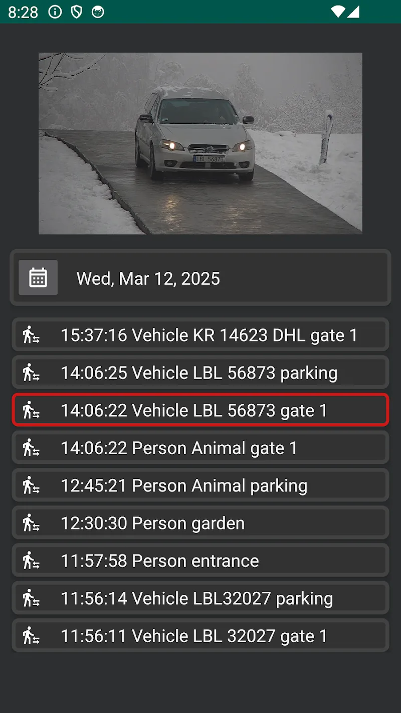 IP Camera Viewer screenshot 4