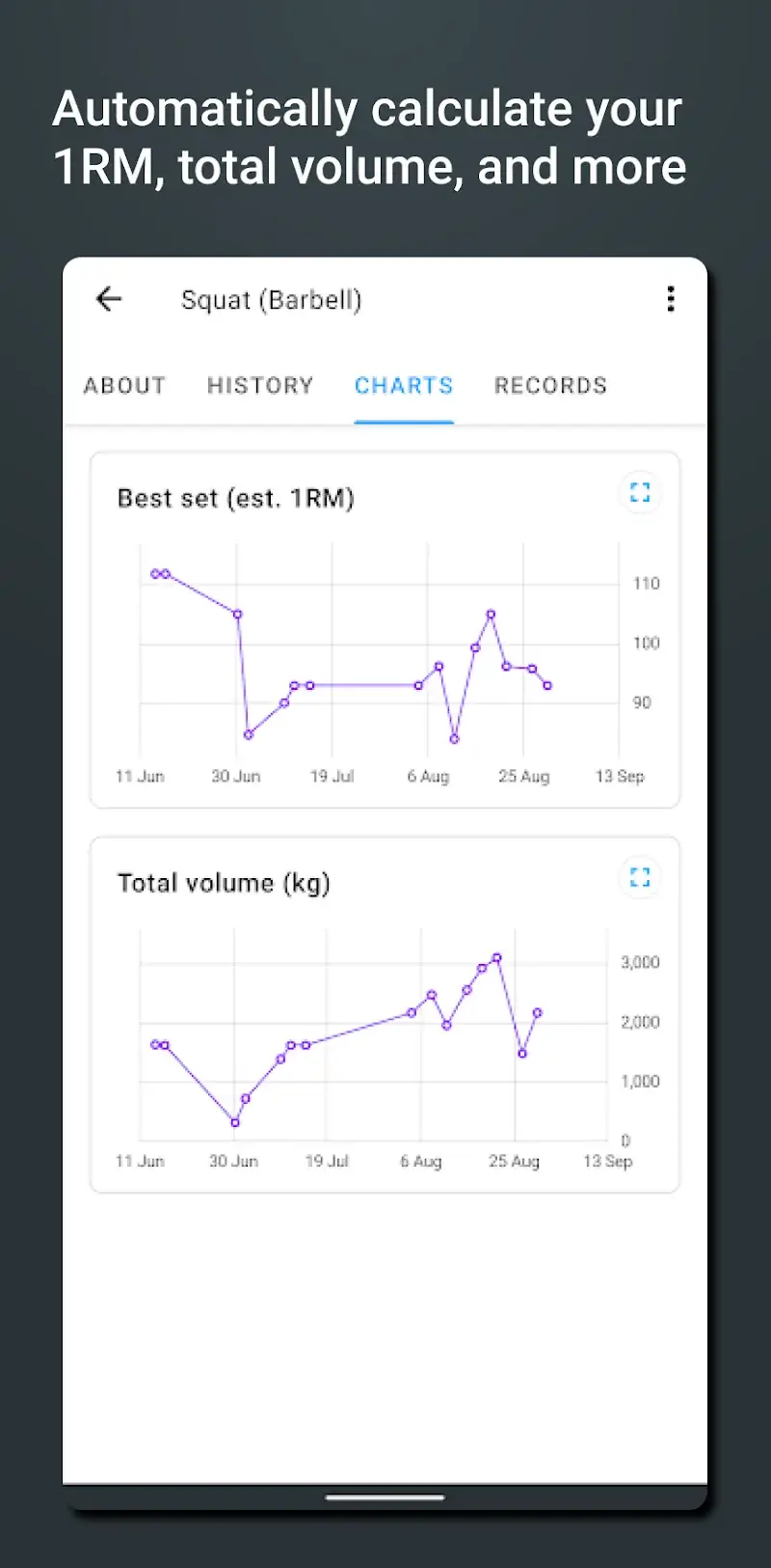 Strong Workout screenshot 2