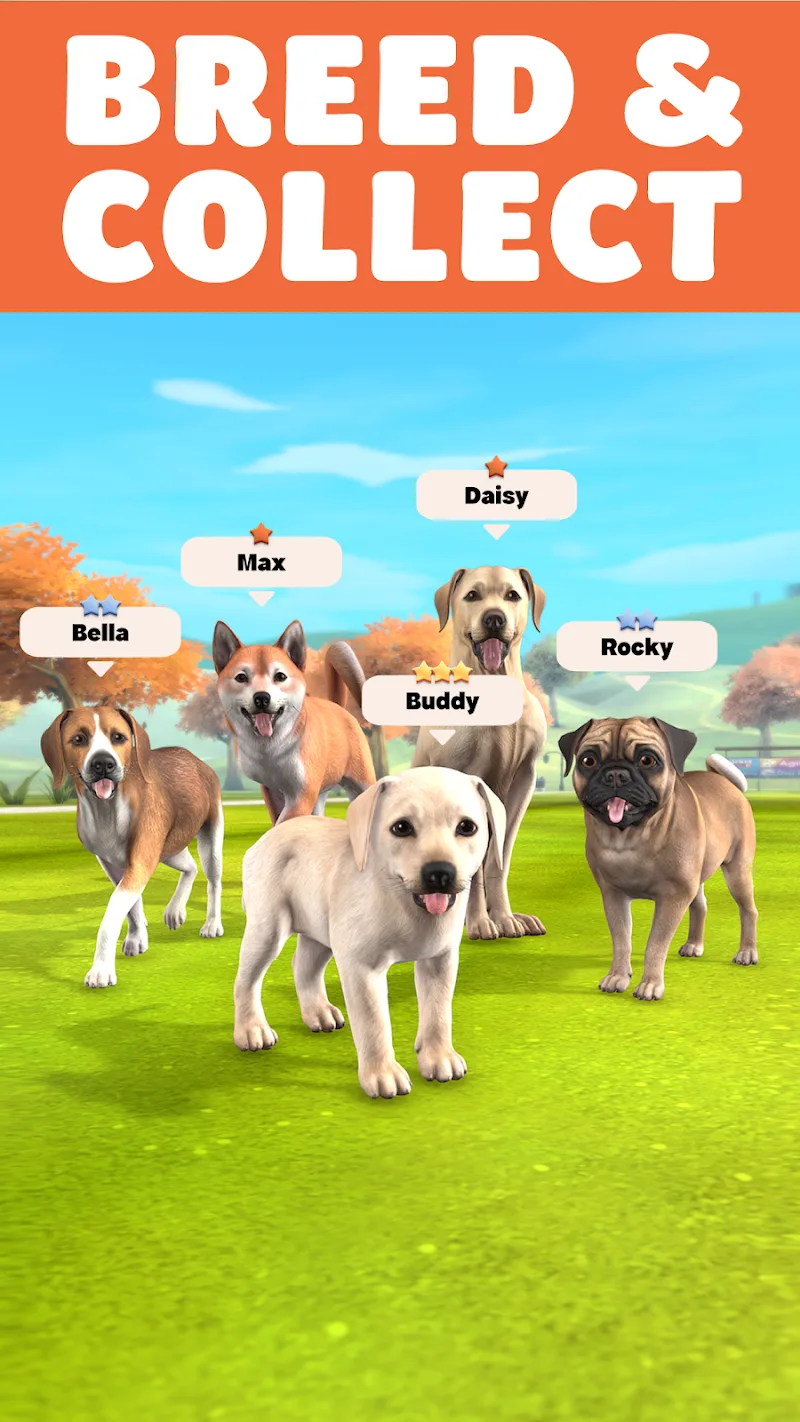 Pocket Paws captura 1