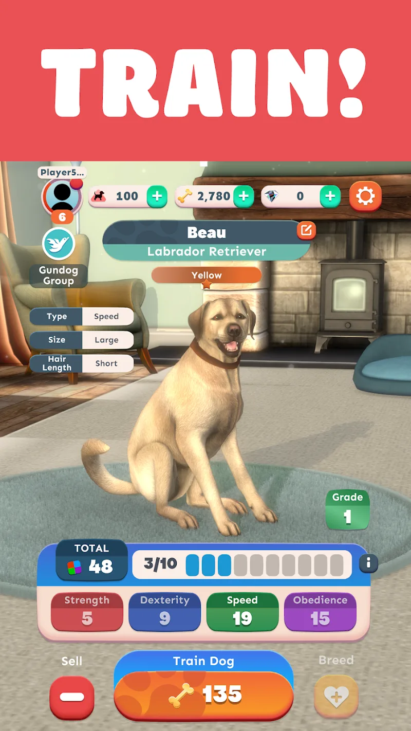 Pocket Paws captura 6